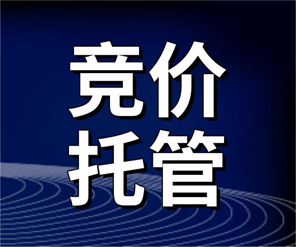 河南競價(jià)托管代運(yùn)營 河南競價(jià)托管代運(yùn)營