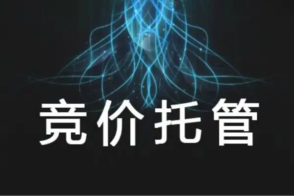 河南競(jìng)價(jià)托管代運(yùn)營(yíng) 河南競(jìng)價(jià)托管代運(yùn)營(yíng)